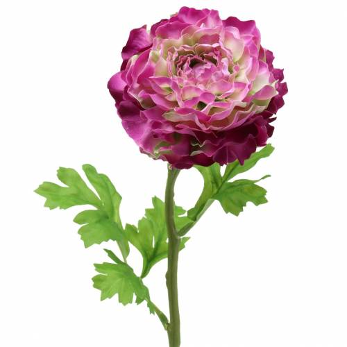 Floristik24 Ranunculus violet kunstig 48 cm