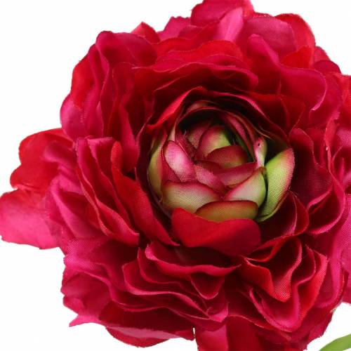Floristik24 Ranunculus mørkrosa kunstigt 51 cm