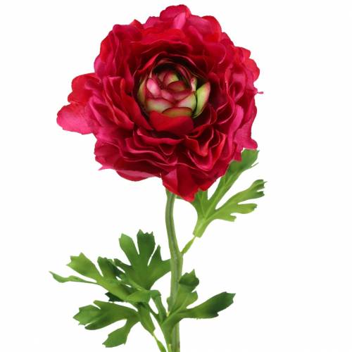 Floristik24 Ranunculus mørkrosa kunstigt 51 cm