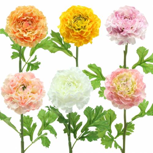 Artikel Ranunculus forskellige farver H45cm