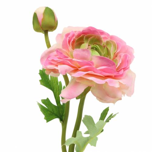 Floristik24 Ranunculus blomst og knopp kunstig lyserød 34 cm