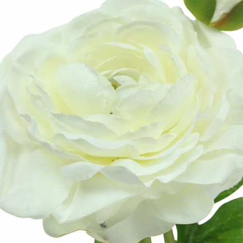 Floristik24 Kunstig blomst ranunculus med blomst og knopp hvid H34cm