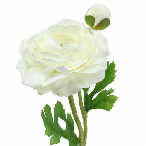 Floristik24 Kunstig blomst ranunculus med blomst og knopp hvid H34cm