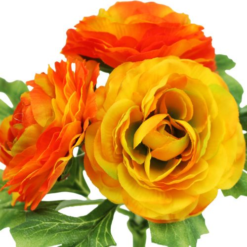 Floristik24 Ranunculus buket orange L18cm