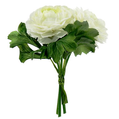 Floristik24 Ranunculus buket hvid L18cm