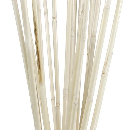 Floristik24 Rattanpinde hvidkalkede 100cm 20 stk