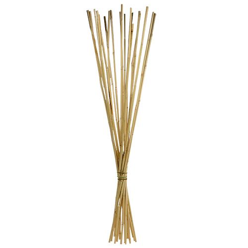 Floristik24 Rattan stilke 100cm natur 20 stk