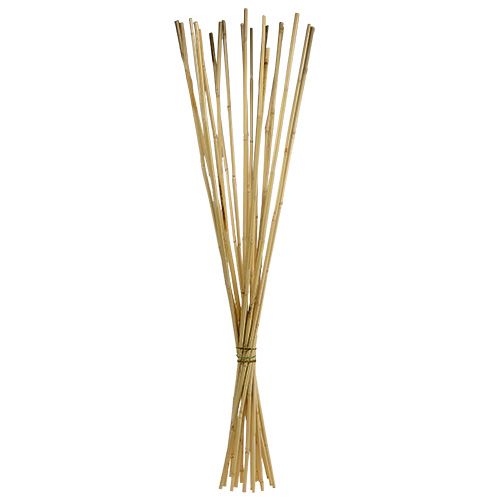 Floristik24 Rattan stilke 100cm natur 20stk