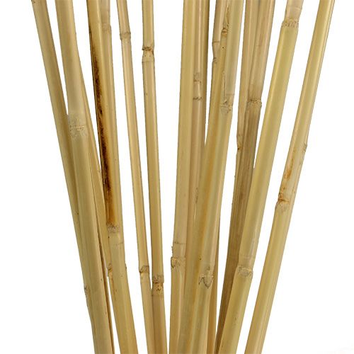 Floristik24 Rattan stilke 100cm natur 20 stk