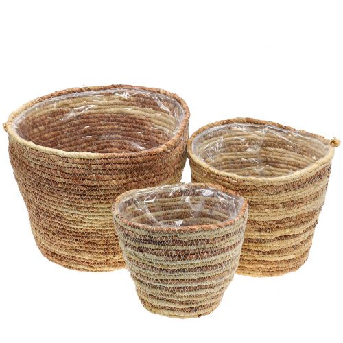 Floristik24 Plantekurv rattan natur/brun Ø26/22/16cm 3stk