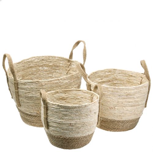 Floristik24 Rattan kurv natur/brun Ø40/32/26cm 3stk