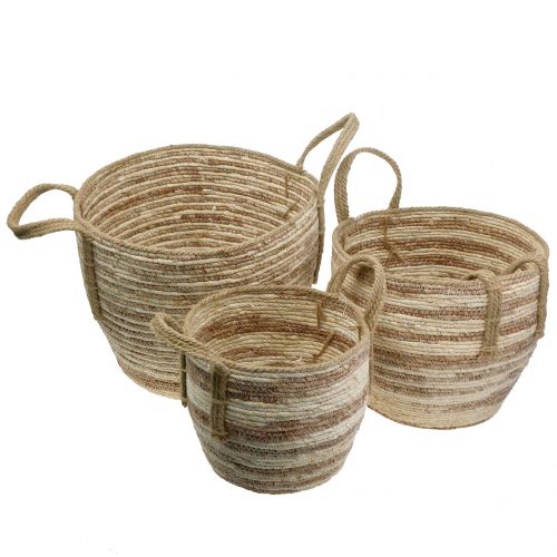 Floristik24 Rattan kurv natur / brun Ø40 / 32/26 cm 3stk