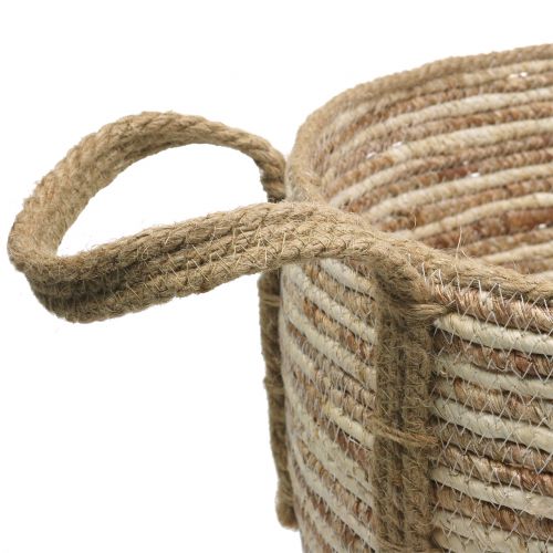 Floristik24 Rattan kurv natur / brun Ø40 / 32/26 cm 3stk