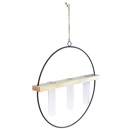Artikel Reagensglas dekorativ vase dekorativ ring metal sort 29×4×29cm