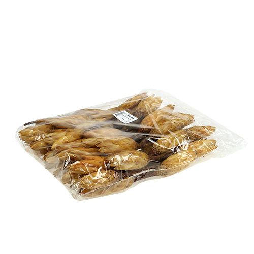 Artikel Repens creme lille 50 stk