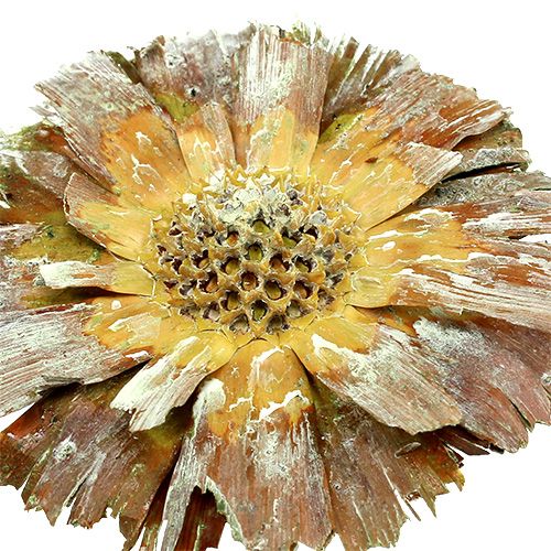 Artikel Repens roset grøn frostet 8cm - 9cm 25 stk