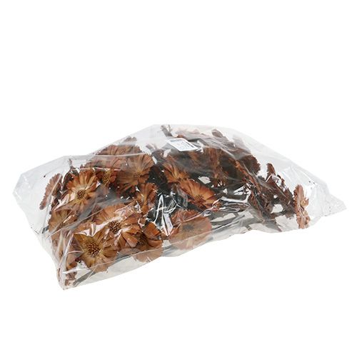 Artikel Repens Roset Natur 6-7cm 50 stk