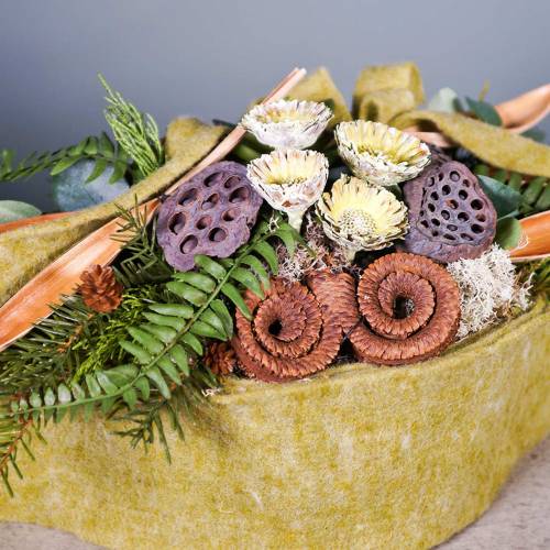Artikel Repens roset grøn frostet 8cm - 9cm 25 stk