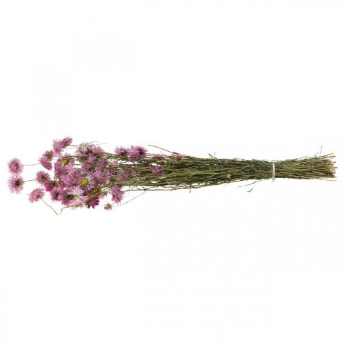 Artikel Strawflowers tørrede blomster pink Acroclinium bundt 20g