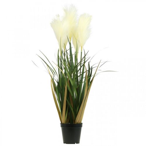 Artikel Rørgræs i potte Kunstig potteplante Creme, Grøn 79cm