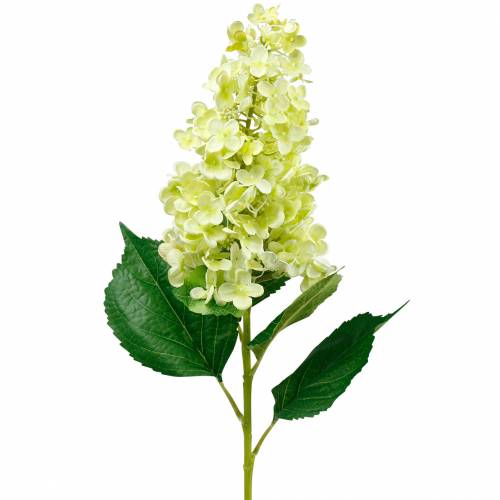 Floristik24 Kunstig panicle hortensia, hortensia grøn, høj kvalitet silke blomst 98cm