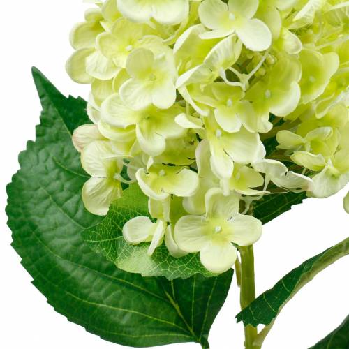 Artikel Kunstig panicle hortensia, hortensia grøn, høj kvalitet silke blomst 98cm