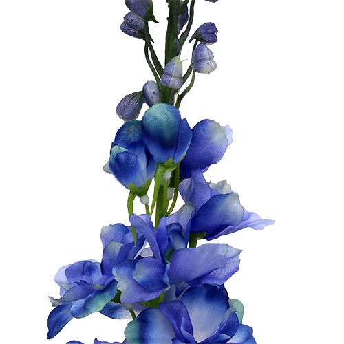 Floristik24 Delphinium Blue 78cm 3stk