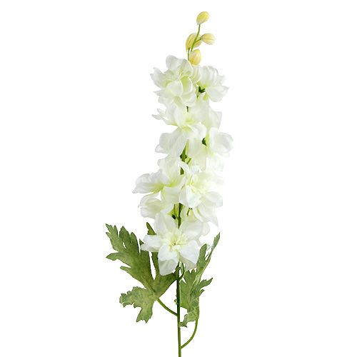 Floristik24 Larkspur hvid L60cm