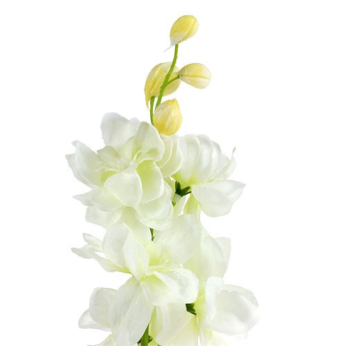 Floristik24 Larkspur hvid L60cm