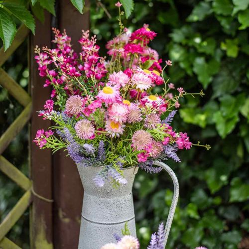 Artikel Rhodanthe pink-pink, silkeblomster, kunstig plante, bundt halmblomster L46cm