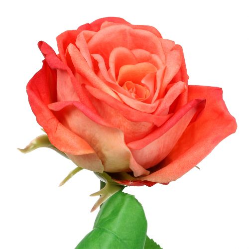 Floristik24 Rose kunstig blomst laks 67,5 cm