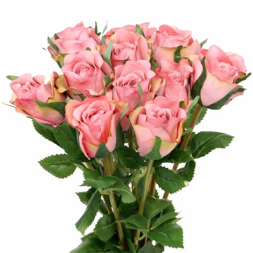 Floristik24 Rose gammel rose 42cm 12p