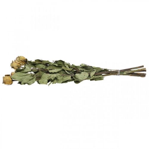 Floristik24 Tørret blomsterrose, valentinsdag, tør blomsterdekoration, rustikke dekorative roser gul-violet L45-50cm 5 stk.