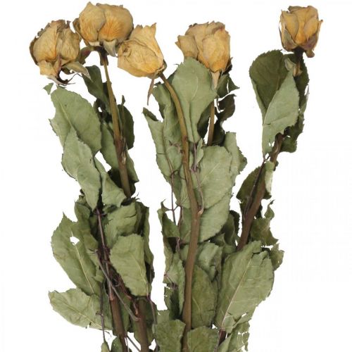 Floristik24 Tørret blomsterrose, valentinsdag, tør blomsterdekoration, rustikke dekorative roser gul-violet L45-50cm 5 stk.