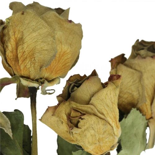 Floristik24 Tørret blomsterrose, valentinsdag, tør blomsterdekoration, rustikke dekorative roser gul-violet L45-50cm 5 stk.