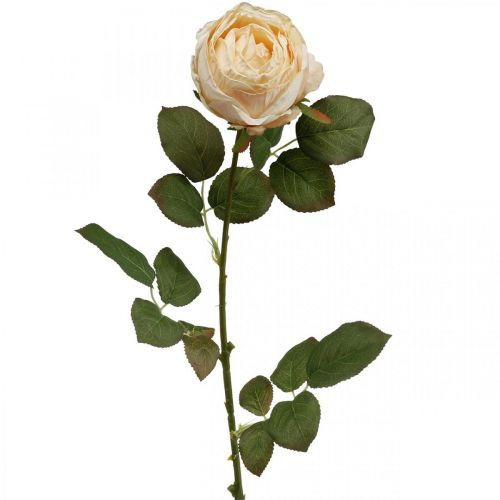 Artikel Rose Creme Silke Blomst Kunstig Rose L74cm Ø7cm