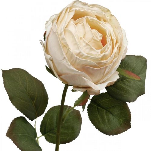 Artikel Rose Creme Silke Blomst Kunstig Rose L74cm Ø7cm