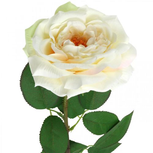 Artikel Cremet hvid abrikosrose, silkeblomst, kunstige roser L72cm Ø12cm