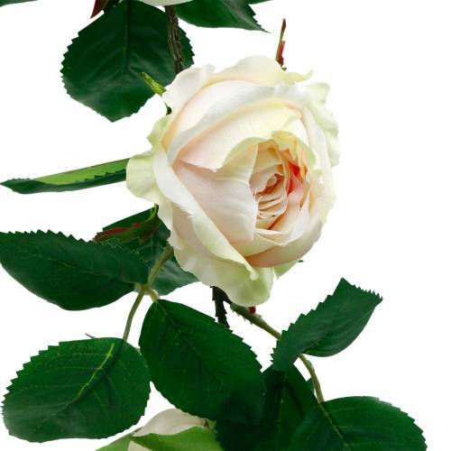 Floristik24 Romantisk rosenkrans Silkeblomst kunstig rosenranke 160 cm