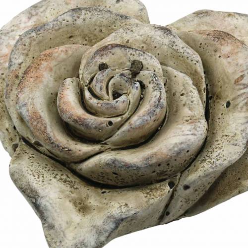 Floristik24 Beton rose hjerte grå, abrikos Ø13 H5cm 3stk