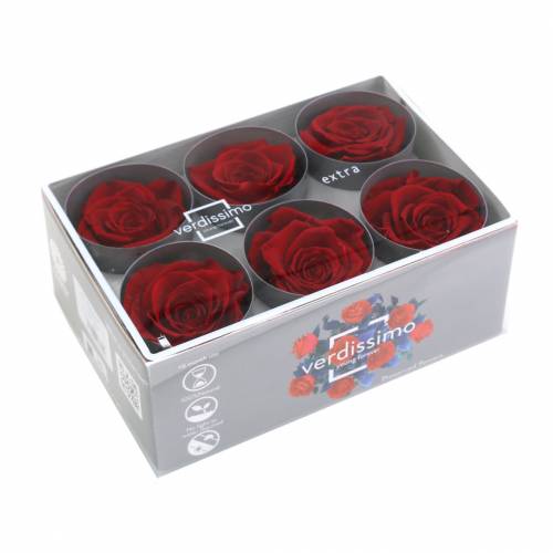 Artikel Infinity Roses Large Ø5,5-6cm Rød 6 stk