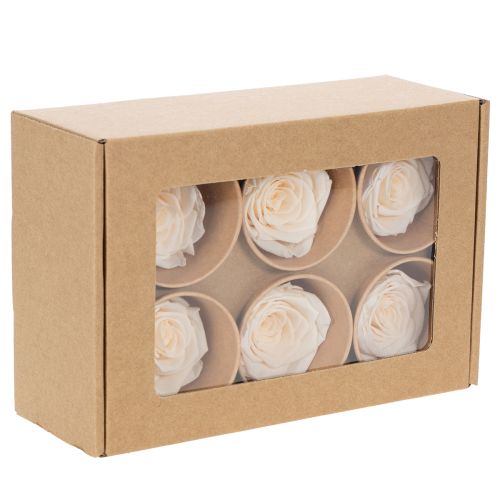 Artikel Rosenhoveder, konserverede blomster til elegante blomsterarrangementer, 5 cm, 6 stk.