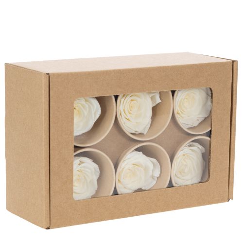 Artikel Konserverede rosenhoveder, holdbar borddekoration til en romantisk atmosfære, bryllupsdekoration, 5 cm, 6 stk.