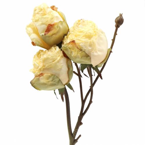 Floristik24 Kunstig rose gren creme hvid 45cm