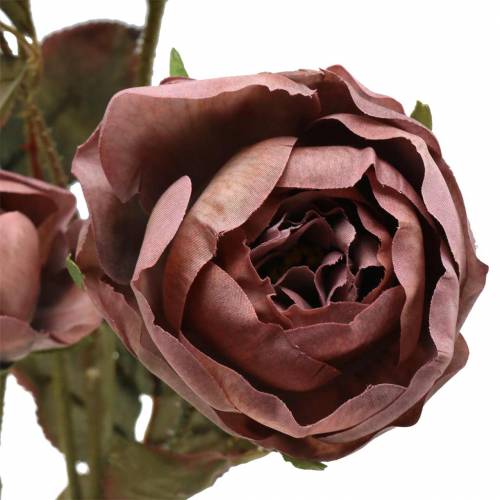 Floristik24 Kunstig rosegren violet 76cm