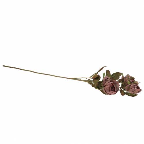 Floristik24 Kunstig rosegren violet 76cm