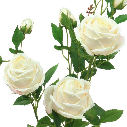 Artikel Rose gren creme / rosè 100cm