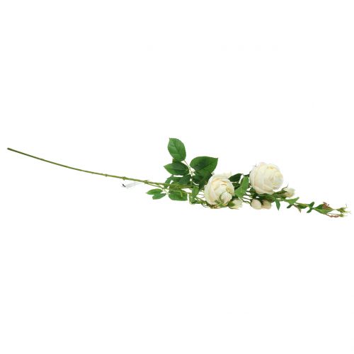 Artikel Rose gren creme / rosè 100cm