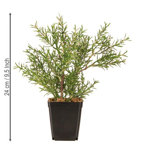 Artikel Rosemary in Pot Kunstige Urter Grønne Planter H24cm