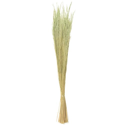 Artikel Bøjet græs Agrostis Capillaris Tørgræs Grøn 65cm 80g